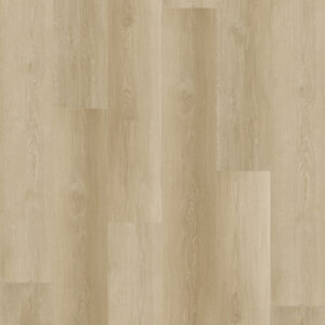 Volare (GA805343)