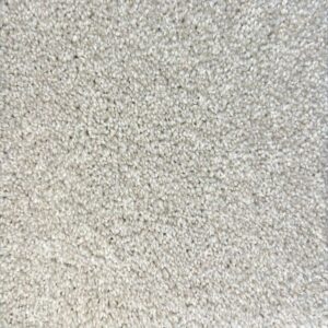 Homage - Sand Dollar